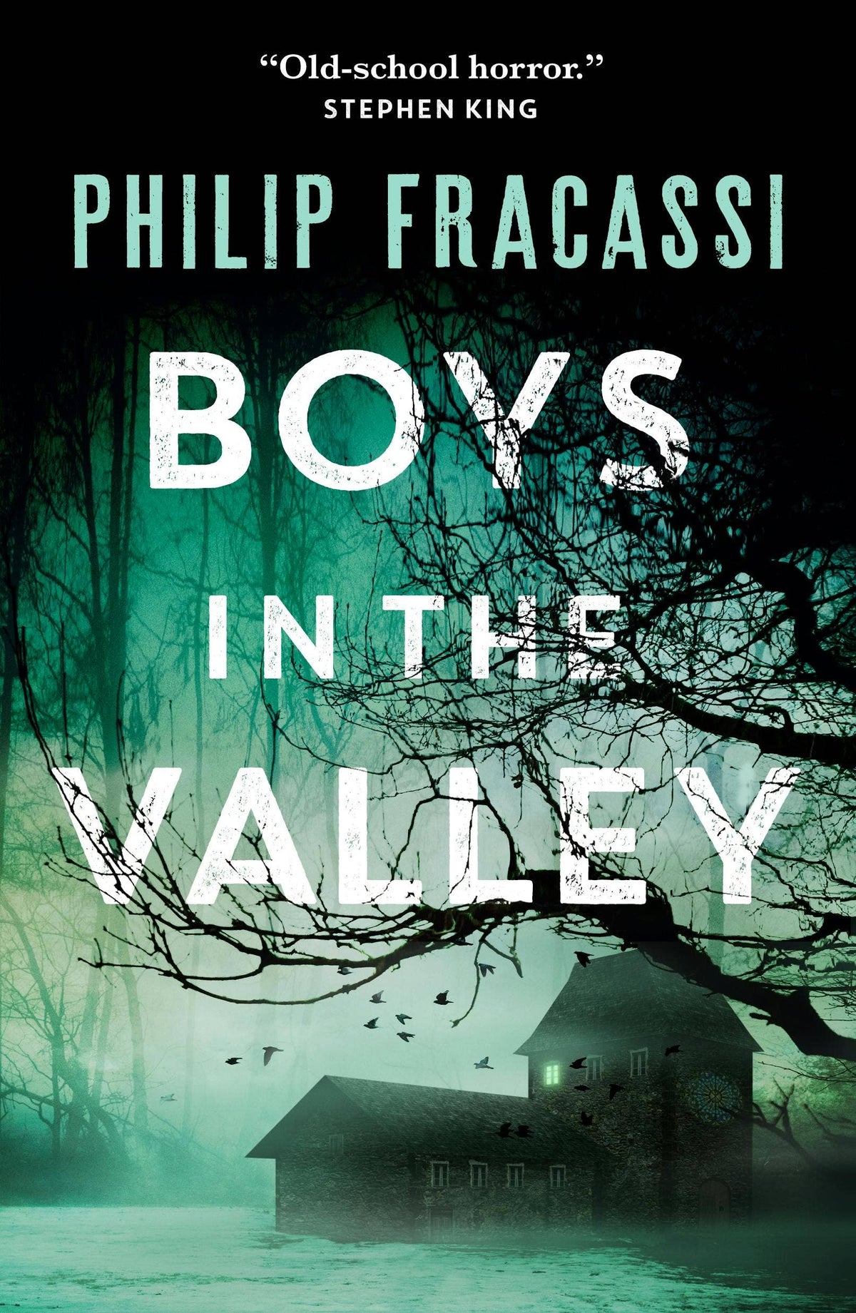 Boys In The Valley