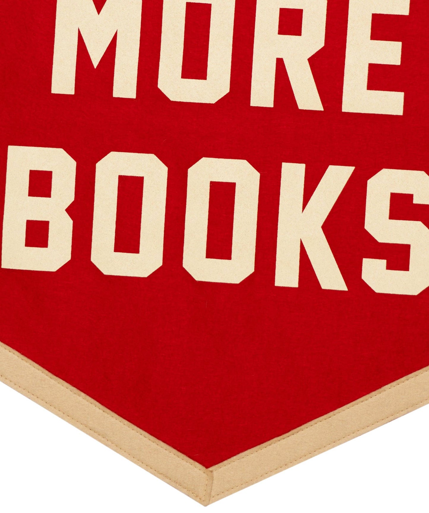 Read More Books Camp Flag