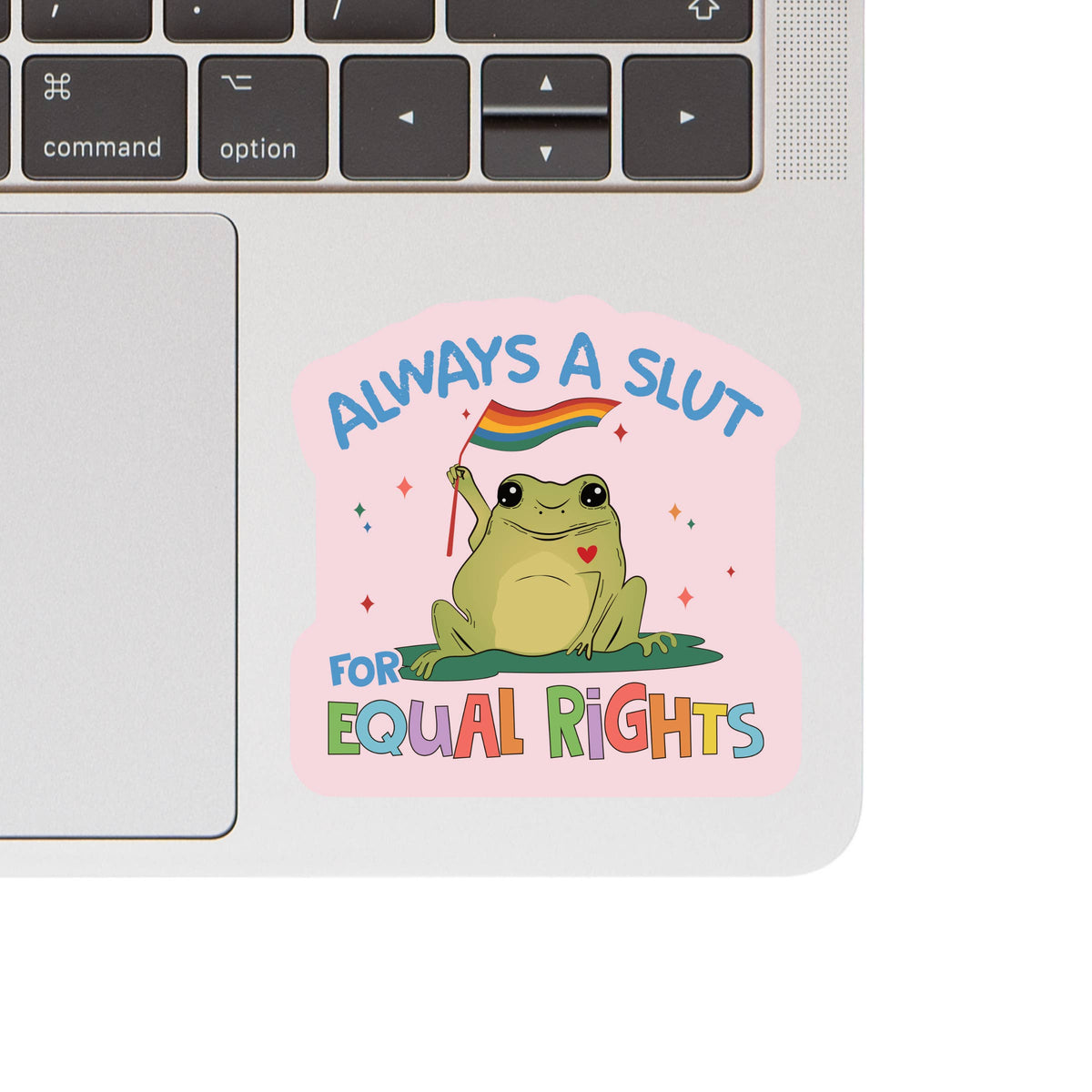 LGBTQ Equal Rights Pride Politics High Quality Vinyl Sticker