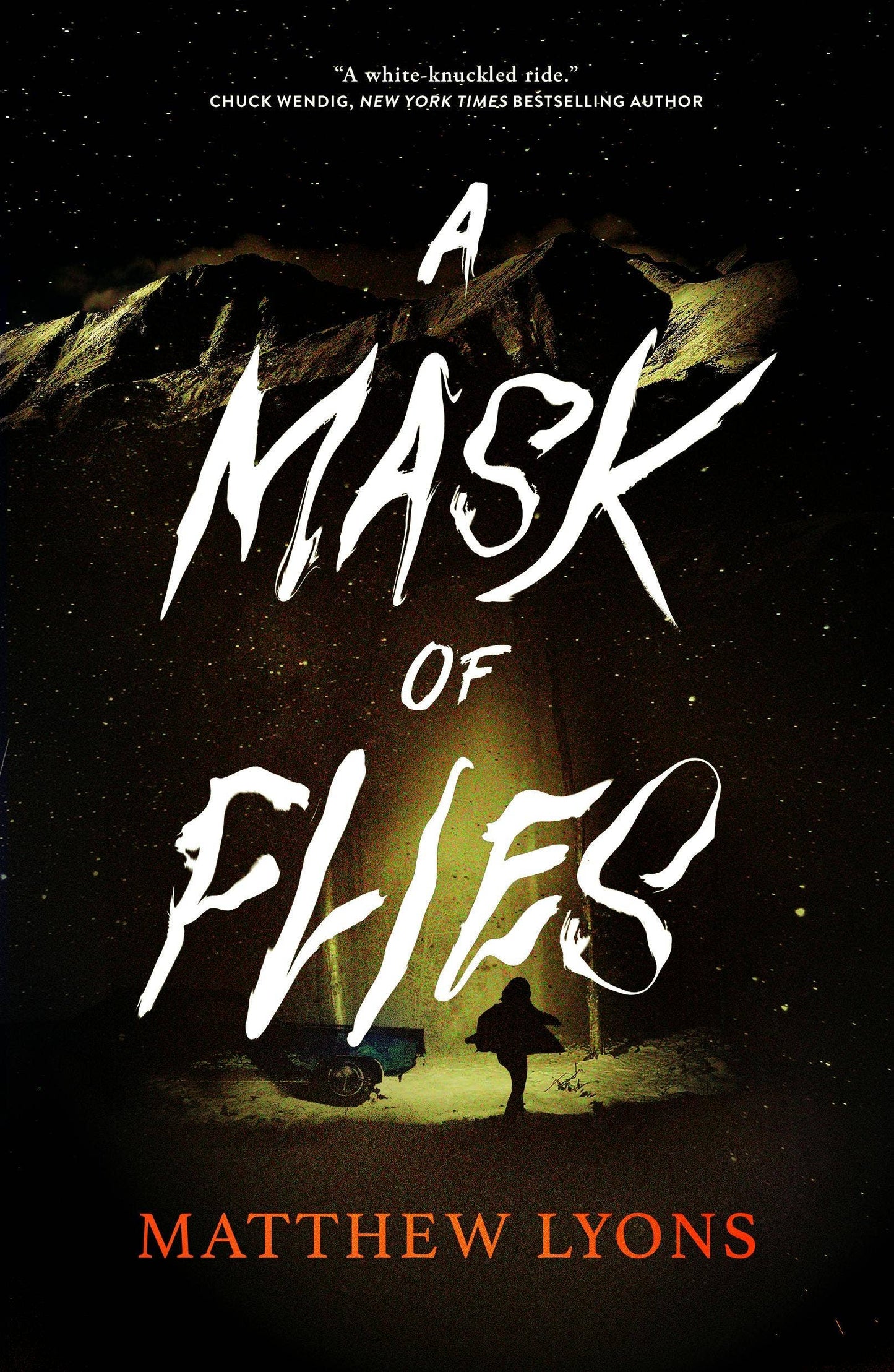 A Mask Of Flies