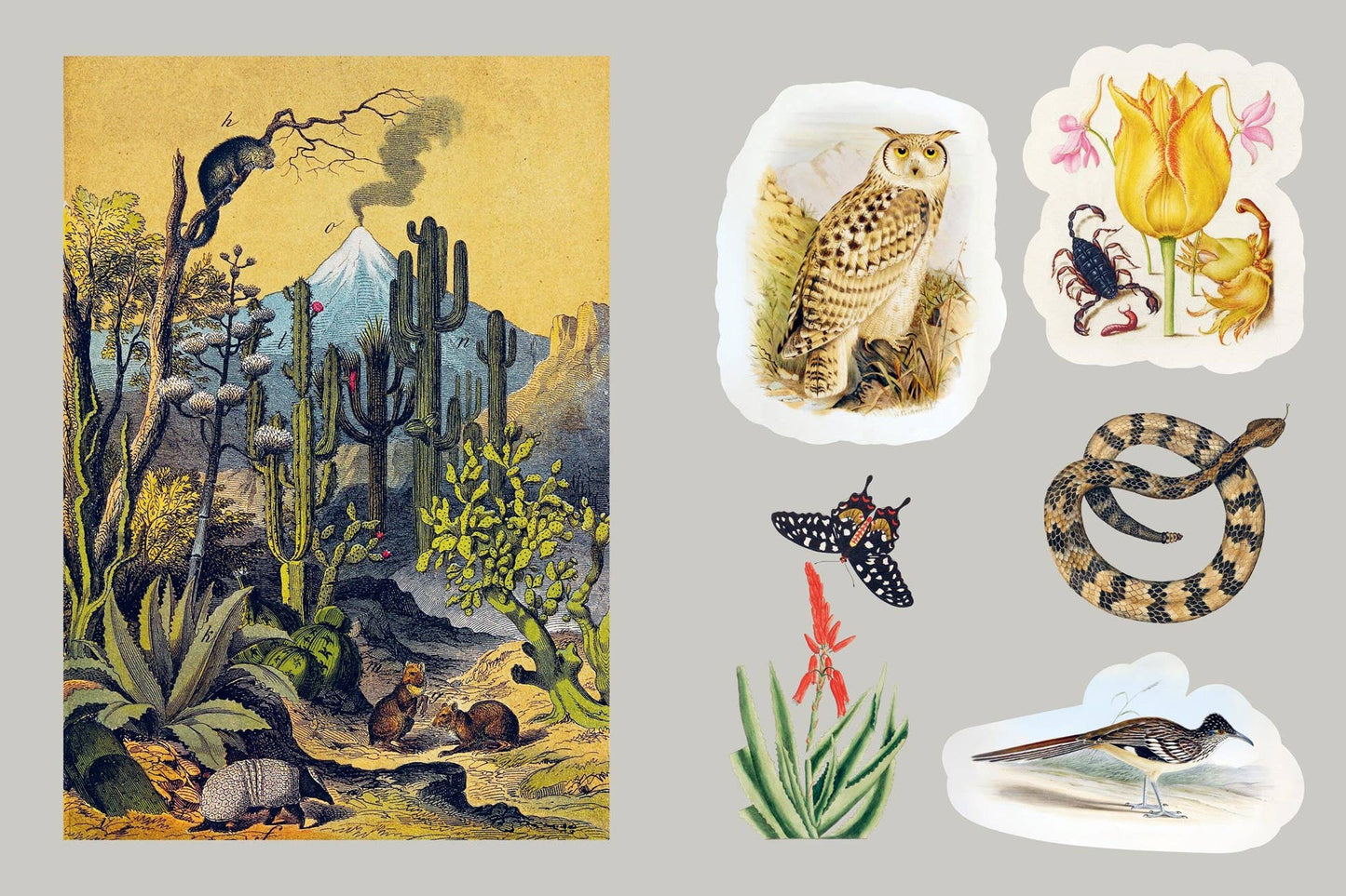 Mystical Earth Sticker Book: Flexi-Bind
