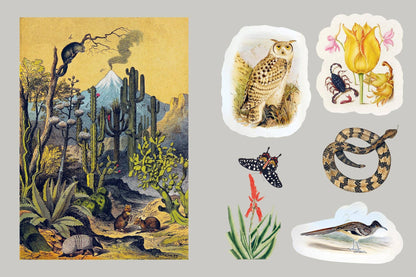 Mystical Earth Sticker Book: Flexi-Bind