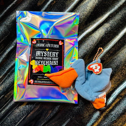 Teenie Beanie Baby Plush Keychain | 90's Nostalgia Blind Bag