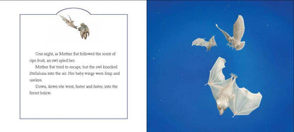 Stellaluna Board Book : Janell Cannon