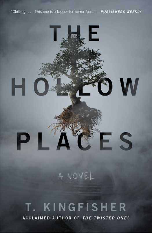 Hollow Places by T. Kingfisher: Paperback; 352 pages / English