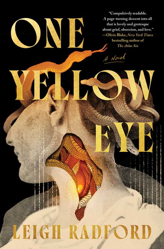 One Yellow Eye by Leigh Radford: Hardcover; 352 pages / English