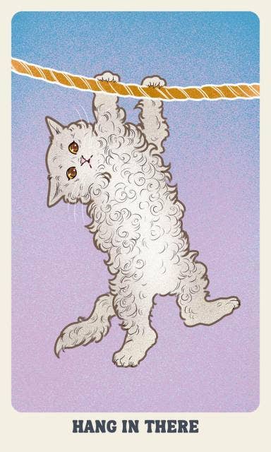 Feline Mystique Oracle Deck and Guidebook