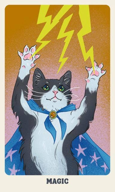 Feline Mystique Oracle Deck and Guidebook